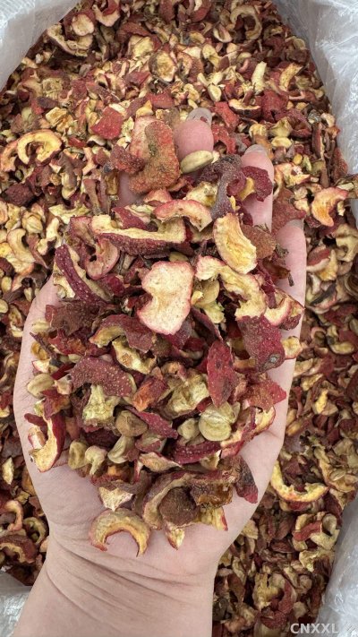 spice_25715_3db6add6_2.jpg