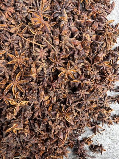 spice_25724_41c96634_3.jpg