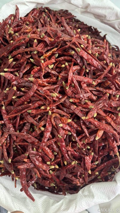 spice_25741_95dd6347_3.jpg