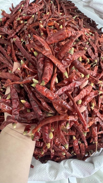 spice_25741_c6d68e31_2.jpg