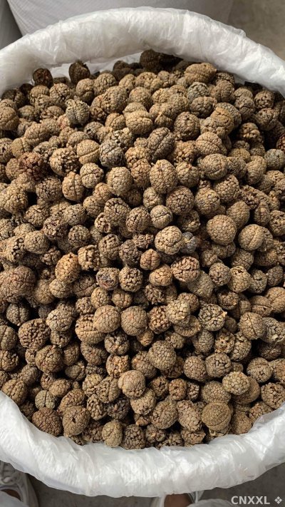 spice_25743_e1dc23ce_3.jpg