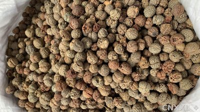 spice_25744_cf08a54a_3.jpg