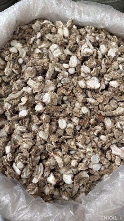 spice_25748_6bf74652_3.jpg