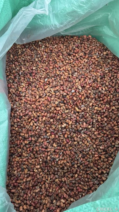 spice_25751_ce264cfe_3.jpg