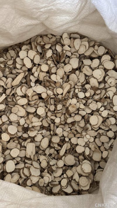 spice_25757_e147f15e_2.jpg