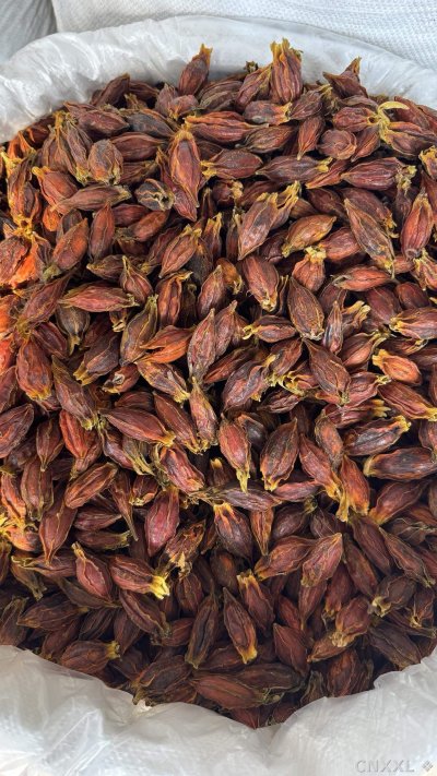 spice_25759_abb27359_2.jpg