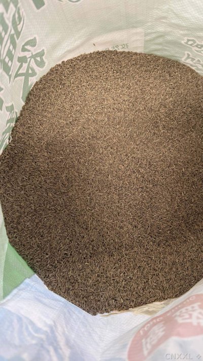 spice_25764_db4000ce_3.jpg