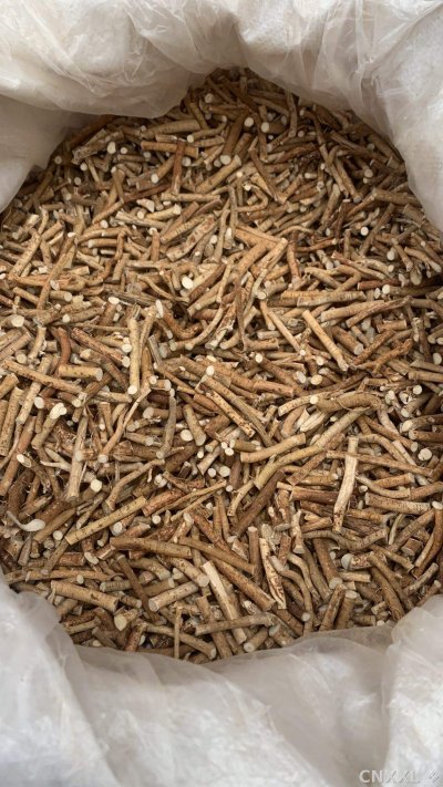 spice_25769_0810c5bc_3.jpg