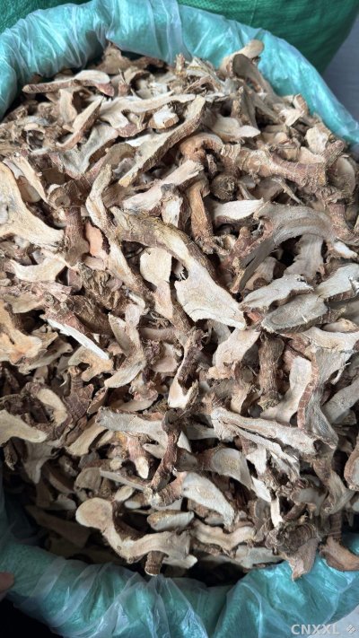 spice_25779_5d02ffad_2.jpg