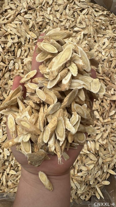 spice_25784_4e6555b3_2.jpg