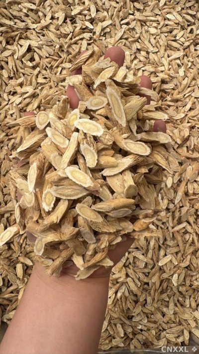 spice_25785_1c1e96c1_1.jpg