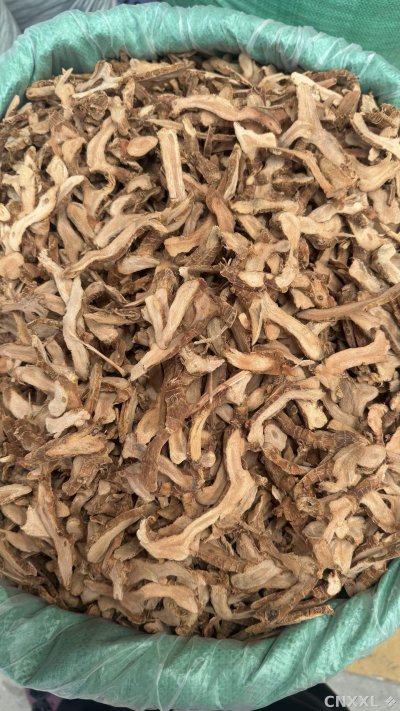 spice_25792_3356ad92_3.jpg