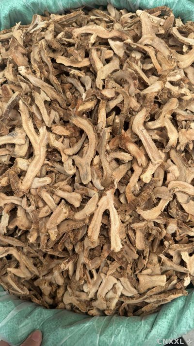 spice_25792_bbed2b9e_2.jpg