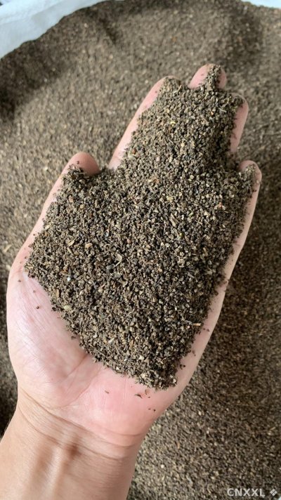 spice_25794_83beaab6_2.jpg