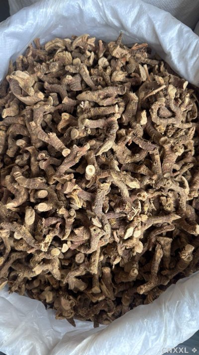 spice_25802_4017779d_3.jpg
