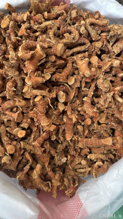 spice_25804_ef80abfb_2.jpg