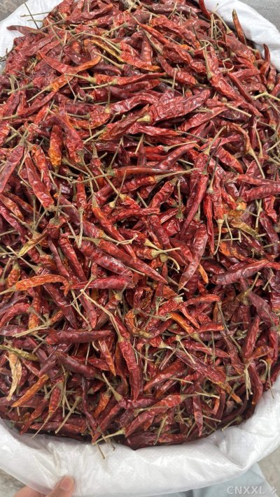 spice_25805_3e23af1e_3.jpg