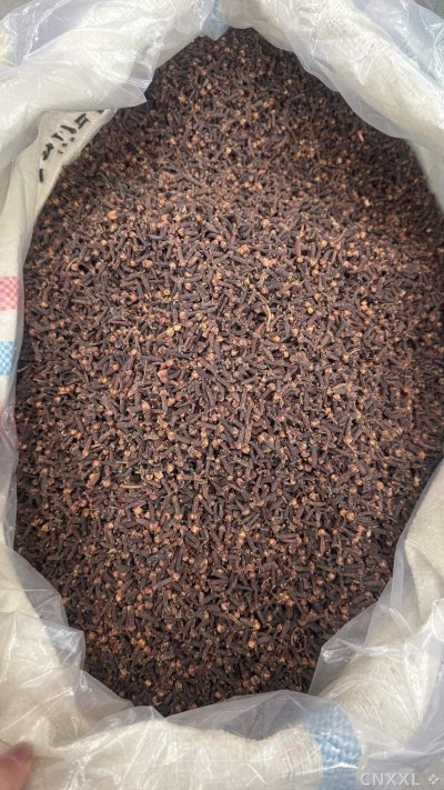 spice_25809_dd99780c_3.jpg