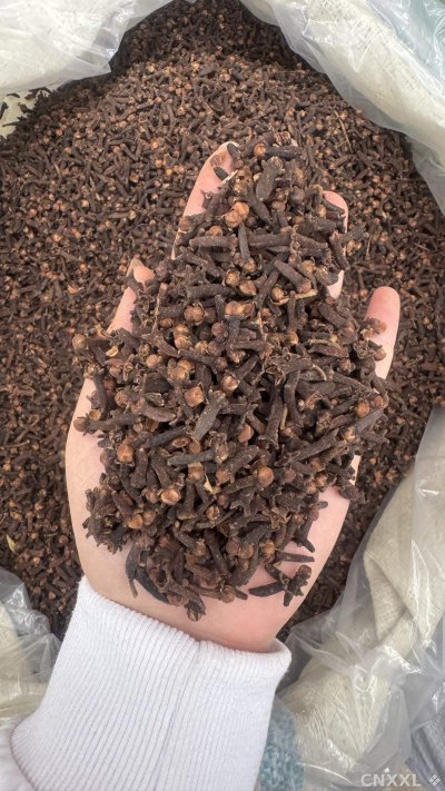 spice_25809_e2d03f0e_2.jpg