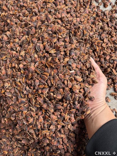 spice_25817_2a53afdc_2.jpg