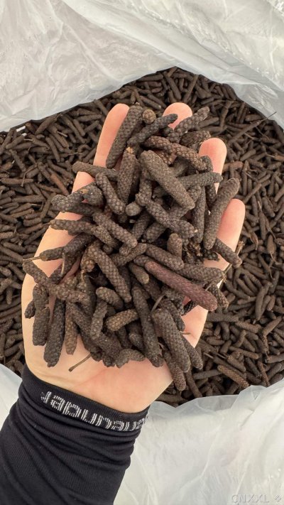 spice_25820_08b8dfa9_2.jpg