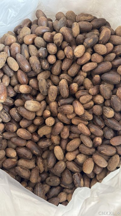 spice_25825_b9c7a0b8_3.jpg