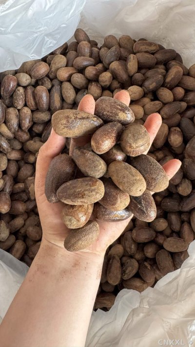 spice_25825_dd8cb1aa_2.jpg