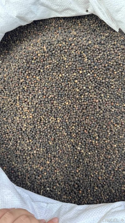 spice_25829_5d0948c4_3.jpg