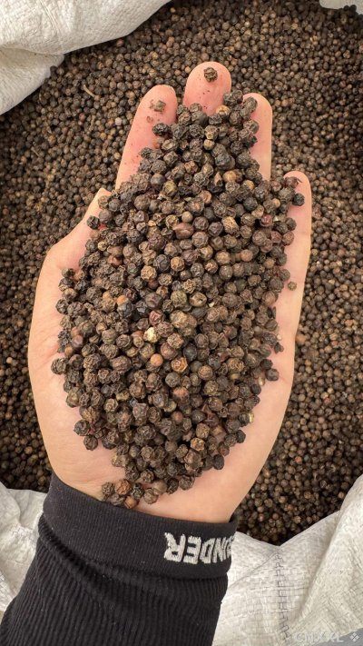 spice_25833_4efb2ffd_2.jpg
