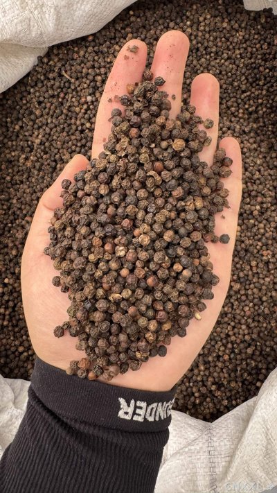 spice_25833_cb3dfca5_1.jpg