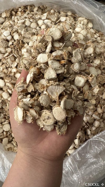 spice_25835_4e326892_1.jpg