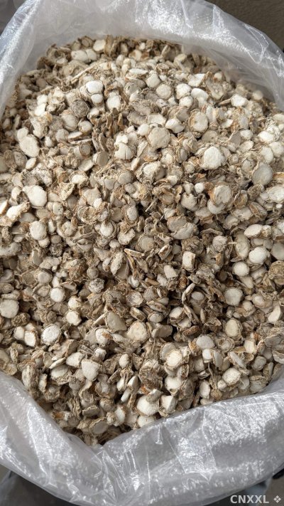 spice_25835_d5c7e2dd_3.jpg