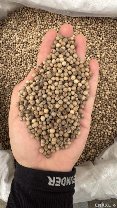 spice_25836_5f78b90f_1.jpg