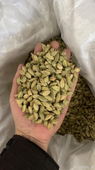 spice_25838_96de6270_1.jpg