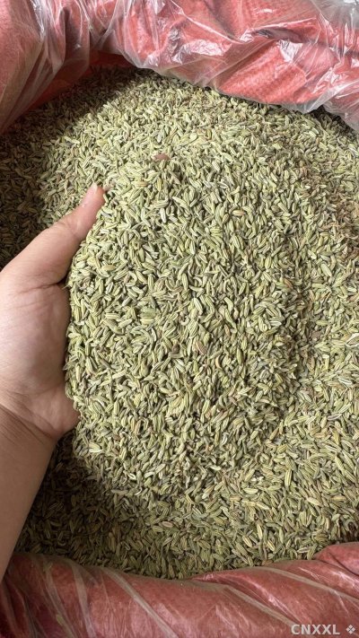 spice_25841_0b9b332f_2.jpg