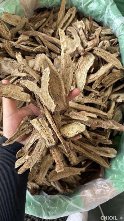 spice_25845_cc9e76f4_2.jpg
