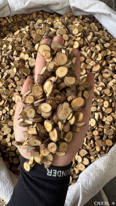 spice_25846_d8faea7c_1.jpg