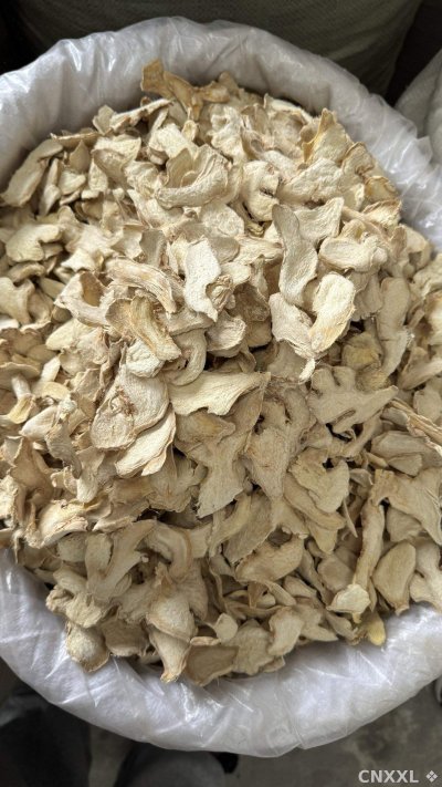 spice_25851_a2205b5f_3.jpg