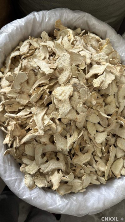 spice_25851_dd8eae2c_1.jpg