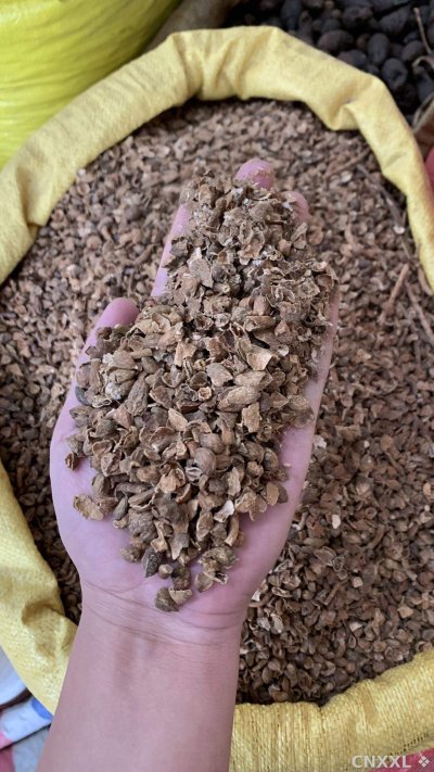spice_25856_5521ecbd_2.jpg