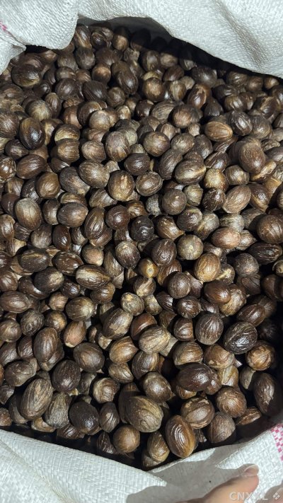 spice_25857_37bce6eb_3.jpg