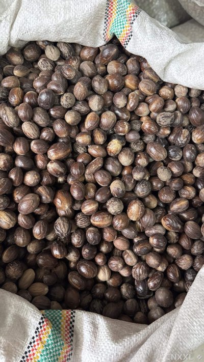 spice_25858_5d1de10b_2.jpg
