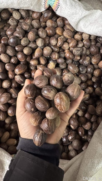 spice_25858_a5baae2a_1.jpg