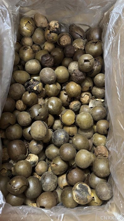 spice_25859_6f95b9ca_2.jpg