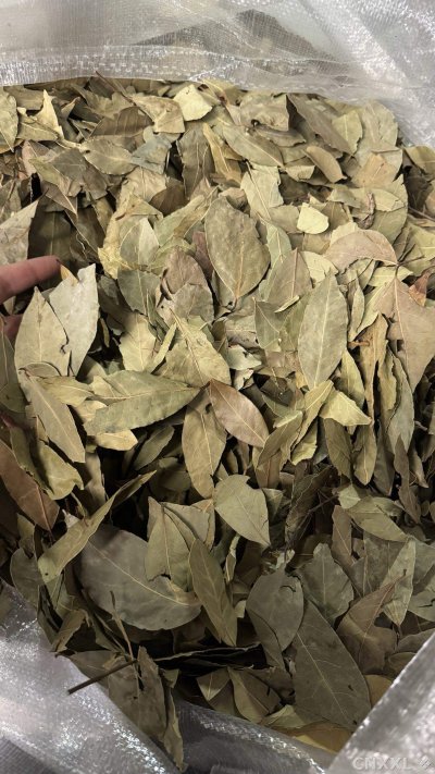 spice_25865_033f6cc6_1.jpg