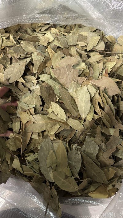 spice_25865_e2a0409c_2.jpg