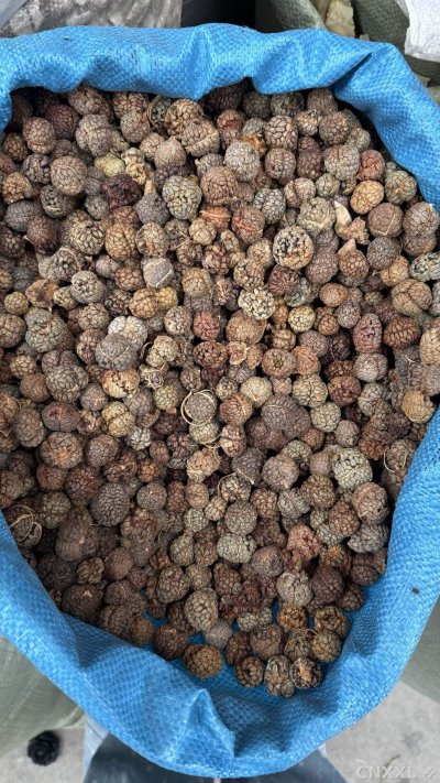 spice_25868_50d6e7dc_3.jpg