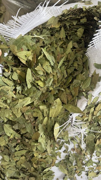 spice_25872_4e91c717_3.jpg