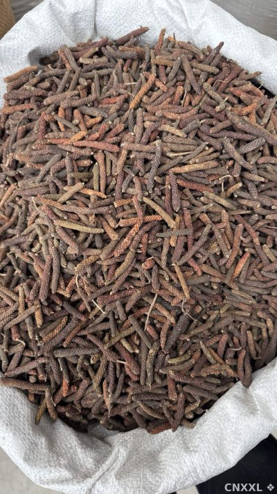spice_25882_d7690706_3.jpg