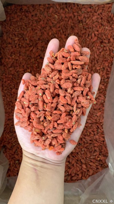 spice_25883_8acbb4fe_1.jpg